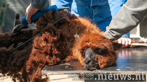 20210514 woe kinderboerderij 007