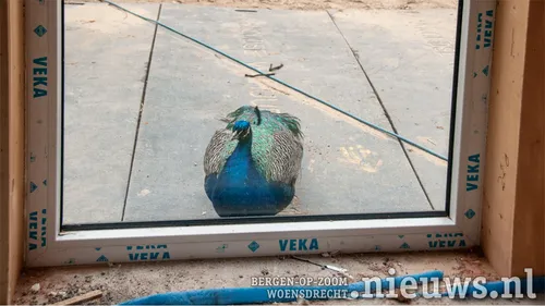 20210624 put nieuwbouw titurel 004