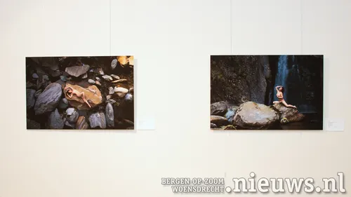 20210911 boz foboz 002