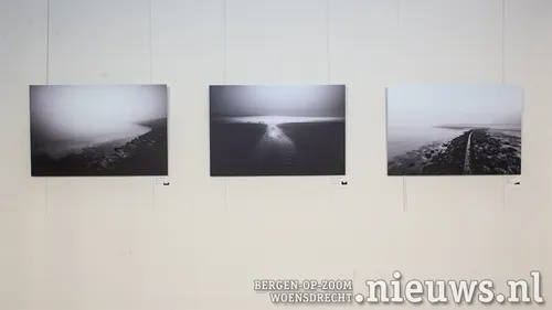 20210911 boz foboz 003