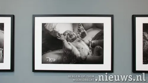 20210911 boz foboz 011