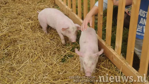 20210912 woe boerendag 019