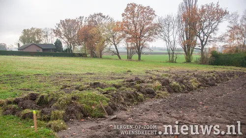 20211123 oss plantjesplanten 001