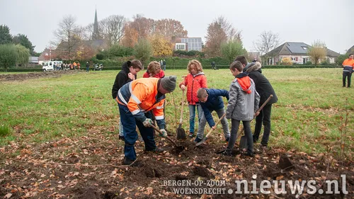 20211123 oss plantjesplanten 008