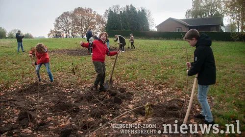 20211123 oss plantjesplanten 009