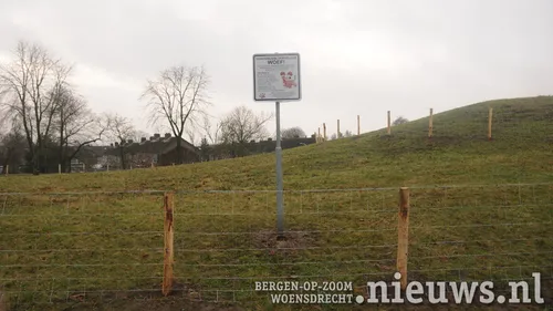 20211224 woe losloopveld 006