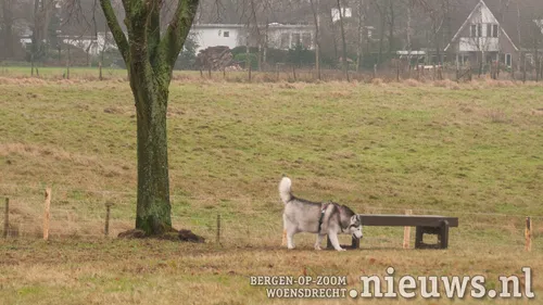 20211224 woe losloopveld 009