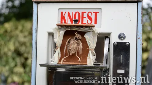 20220701 jkr hal beeldentuin knoest 002