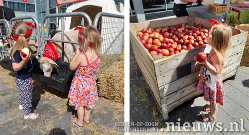 20220704 jkr hoo boerenprotest 017