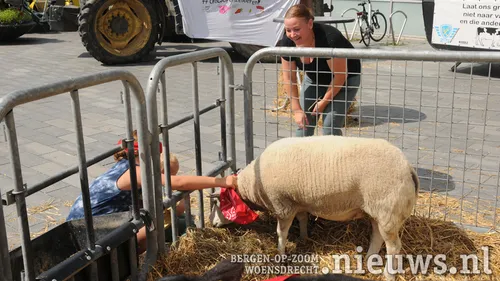 20220704 jkr hoo boerenprotest 018