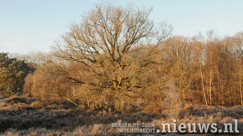 20221215 jkr boz heli lievensberg 006