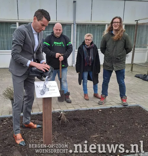 20230203 gem oss rozen 002