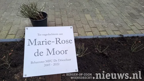 20230203 gem oss rozen 003