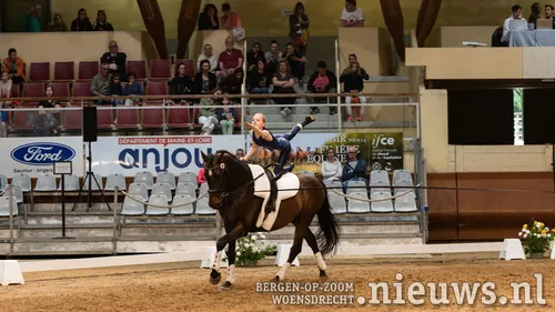 20230313 voltimotion nk solo 000