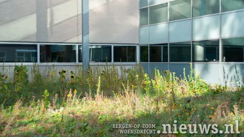 20231010 jkr hoo groen 003