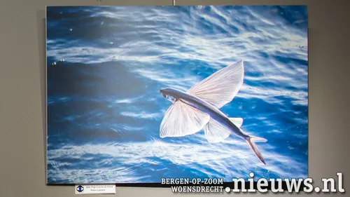 20231104 jkr kal fotokring expo 008