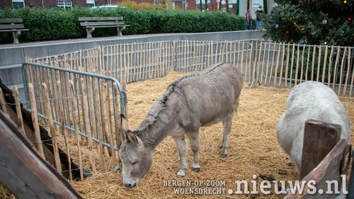 20231226 jkr woe kerststal 004