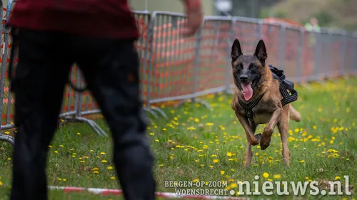 3 bronvermelding media centrum defensie