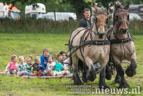 boerendag 2018 003