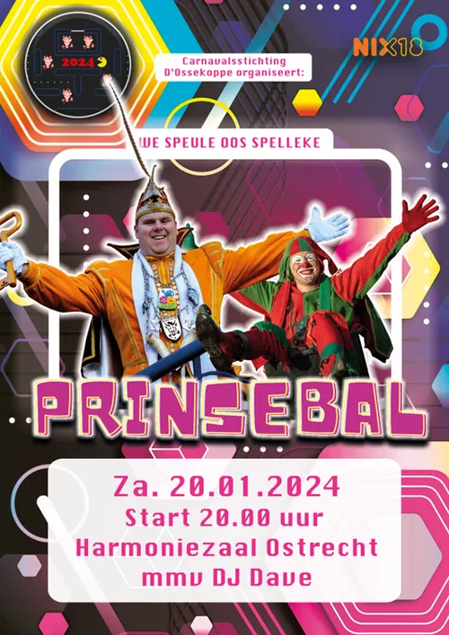 poster prinsebal
