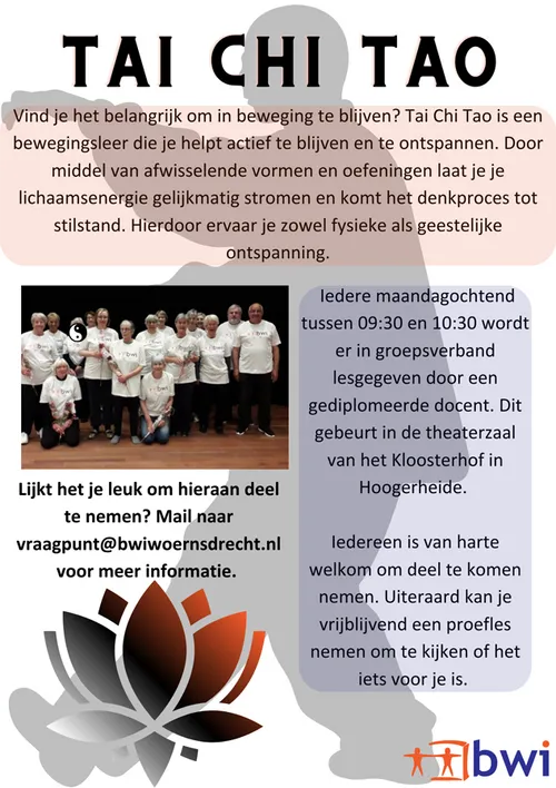 tai chi flyer