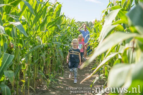 wbd 2018 maisdoolhof
