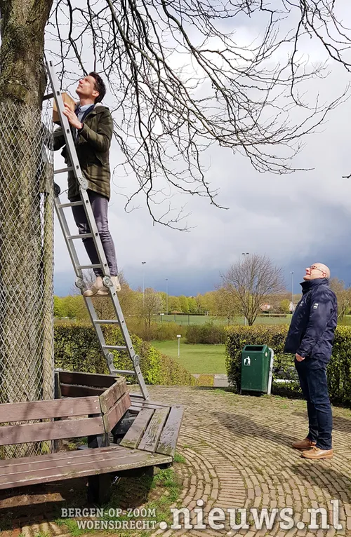 wethouder van agtmaal hangt nestkastje op