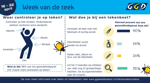 wvdt wb infographic3