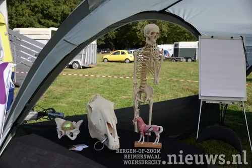 20170923 huij paarden 006