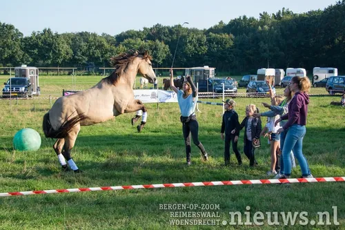 20170923 huij paarden 021