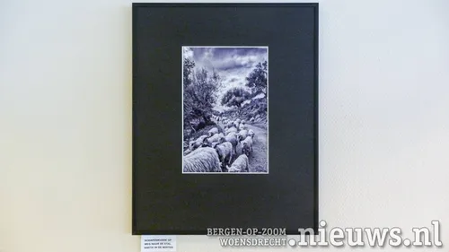 Schaapskudde op weg naar de stal (op Kreta)