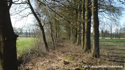 Het kerkenpad naar Essen-Hoek
