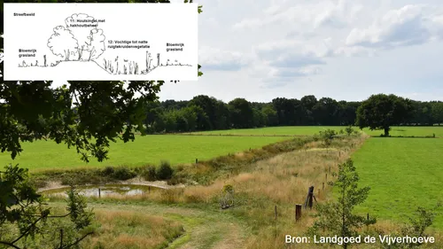 Moeras, struiken, bomen en grasland zorgen voor biodiversiteit.