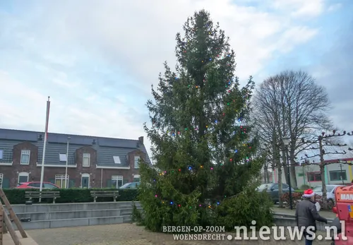 De lampjes hangen in de boom en branden