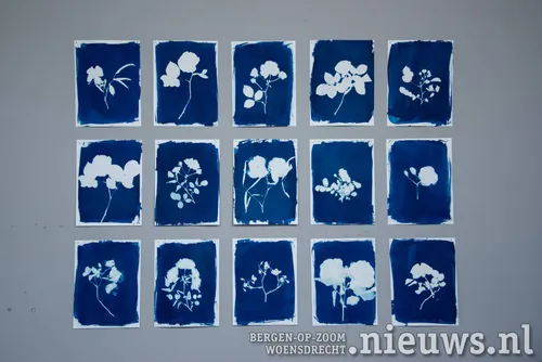 Rozen uit de tuin van Orande's vader