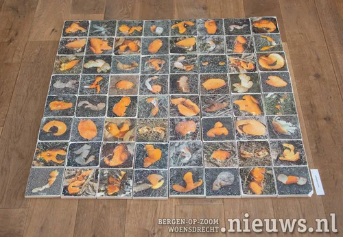 Een tegeltableau van Annet Vermeulen