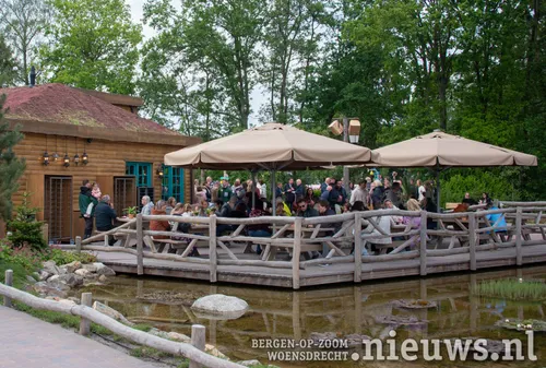 Het terras zit gezellig vol