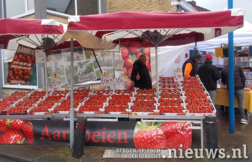 Een heleboel aardbeien