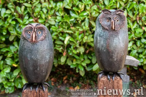 Twee uilen