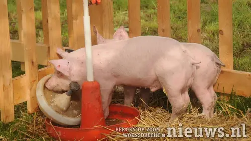 20210912_Woe_Boerendag_016
