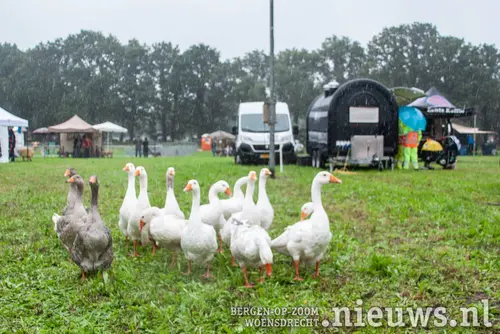 20260913_Boerendag2026_004