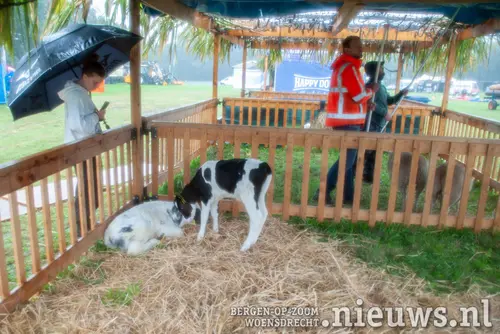 20260913_Boerendag2026_011