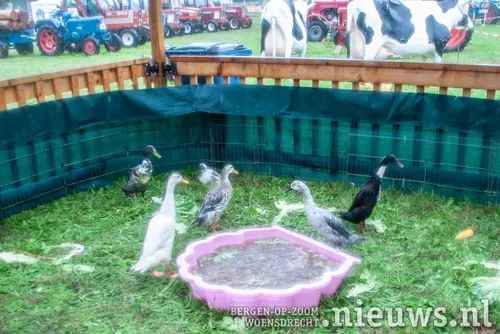 20260913_Boerendag2026_012