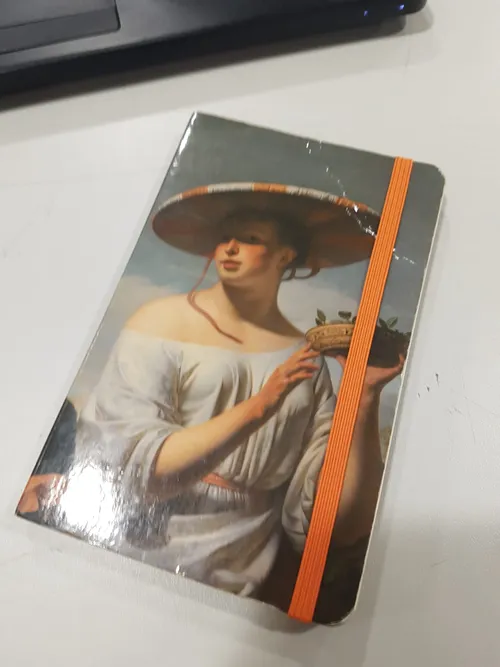 <i>Boekje. Ook wel: Meisje met een brede hoed van Caesar van Everdingen, te zien in het Rijksmuseum.</i>