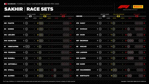 De beschikbare bandensets per coureur voor de Grand Prix van Bahrein. (Bron: Pirelli)