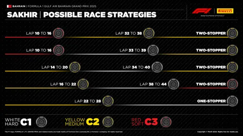 De strategieën voor de Grand Prix van Bahrein (Bron: Pirelli)