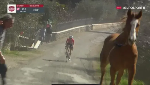 Vollering ziet plots een losgeslagen paard voor zich rijden.