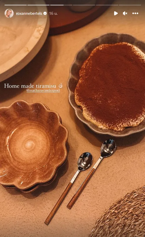 Kiekje van de tiramisu van Van der Poel