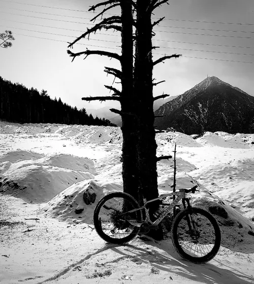 <i>De sprookjeswereld van Tom Pidcock</i>