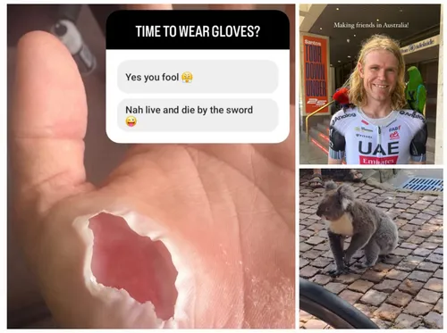 welsford en johansen